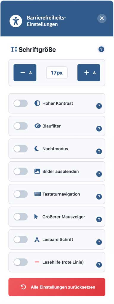 WP Advanced Accessibility Plugin